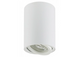 Акцентный светильник Luxel GU10 IP20 белый (DLD-04W)