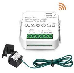 WiFi пристрій - лічильник для до 70А, 220В 10А Ewelink